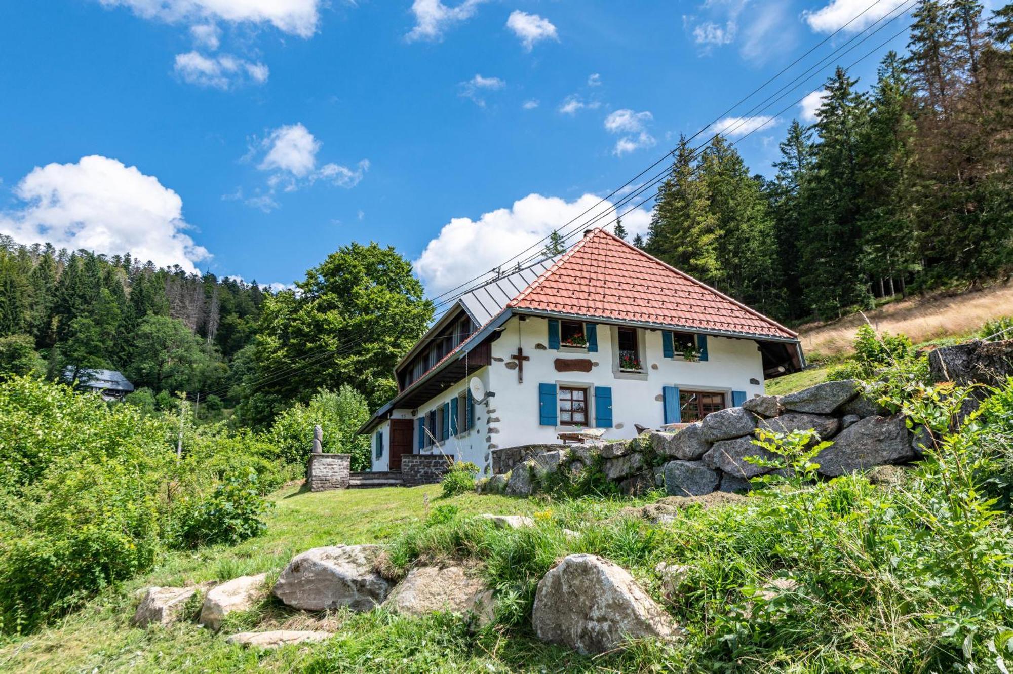 Вилла Ferien Alm Alfret Herrischried Экстерьер фото